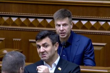 Микола Тищенко, фото: Facebook Ірини Геращенко
