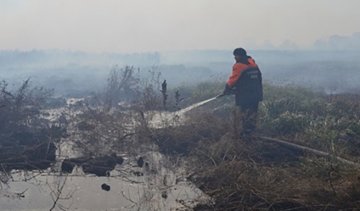 Уже пятнадцать гектаров торфяников  горит на Киевщине (фото)