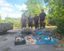 Понад 2 км сітки: Держекоінспекція спільно з поліцією викрили масштабну браконьєрську діяльність