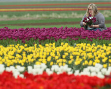 Девушка с цветами, фото: Getty Images