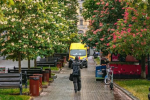 Украинцы, каштаны, фото из соцсетей