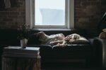 Сон, фото Pxhere