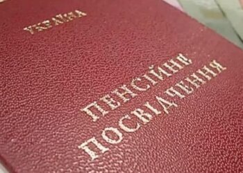 Удостоверение. Фото: Youtube