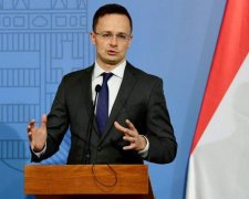 Много на себя берете: Украина достойно ответила венграм