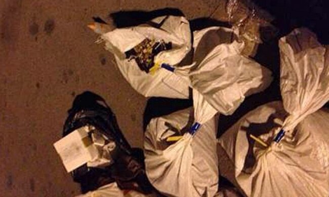 Сто кілограмів бурштину знайшли у потязі Київ - Москва (фото)