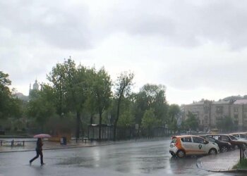 Ливень, фото: скриншот из видео