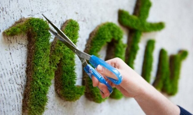 Мохове графіті врятує від осінньої депресії