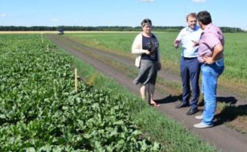 Андрій Хвесик: біографія і досьє, компромат, скрін - Kegichevka-rada.gov.ua