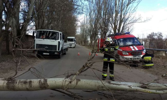 Популярний парк заманив львів'ян у смертельну пастку: оговтуються в лікарні