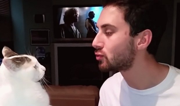 Кіт-боксер відлупцював чоловіка через поцілунок (відео)