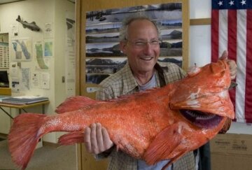 Найстаріший морський окунь, фото: AP