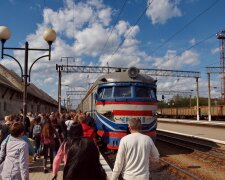"Укрзализныця" подарила пассажирам незабываемый экотур, теперь и в лес не нужно: "Лезут со всех щелей", фото