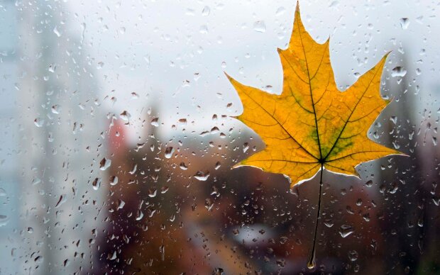 Погода на 29 жовтня: осінь зіпсує українцям настрій