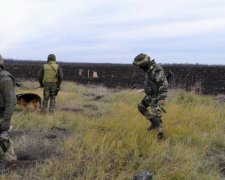 Українські сапери знешкодили 20 тисяч ворожих мін на Донбасі