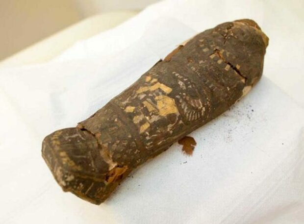 мумія людського зародку, скрін з відео