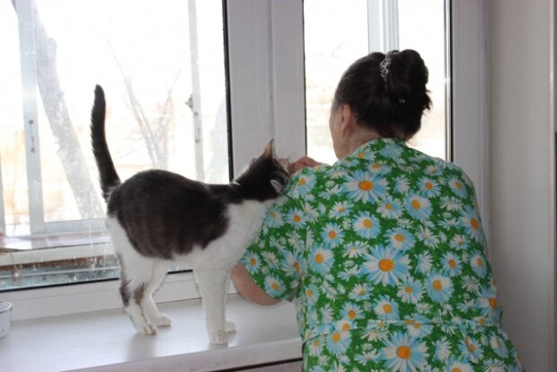 Котяча мати: пенсіонерка із Прикарпаття "усиновила" 20 пухнастиків, але є проблема