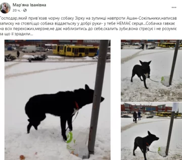 Скриншот сообщения в фейсбук