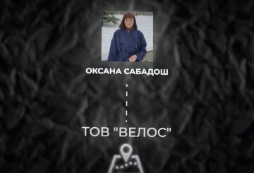 Семья заместителя Юлии Тимошенко Ивана Крулько строит гостиничный бизнес. Фото скриншот из Youtube