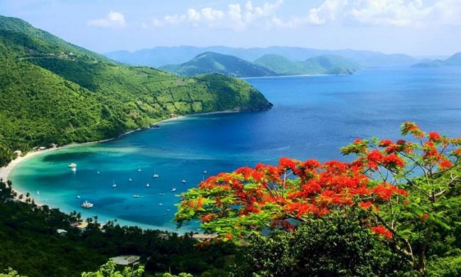 Оккупанты уничтожают уникальную природу Крыма: инфографика