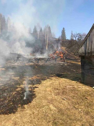 Пожар в парке "Синевир", фото: facebook.com/NacionalnijPrirodnijParkSynevir