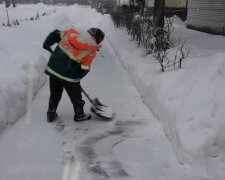 Львів'яни подякували пенсіонерці, фото Віталія Чорного: Facebook Гаряча лінія міста Львів