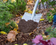 Добриво, зображення із вільних джерел