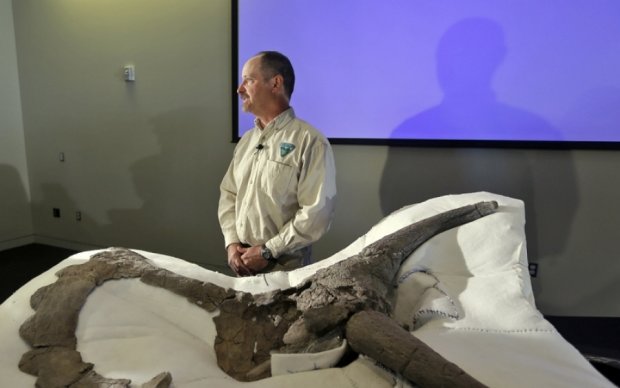 Археологи разыскали предка крупнейшего динозавра