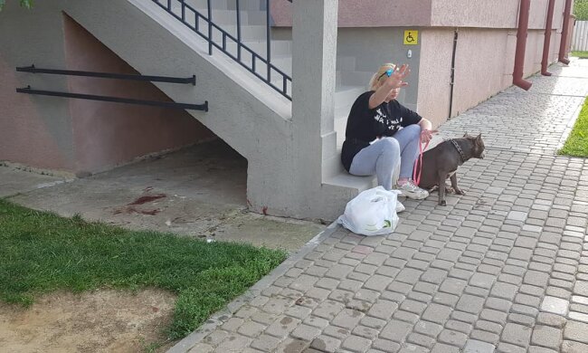 В Ужгороді бійцівський пес розірвав мініатюрного члена сім'ї – "Частина наших сердець загинула за секунду"