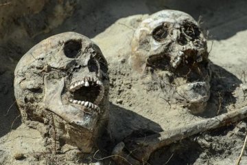 Скелети, що "кричать": поляки зробили моторошну знахідку