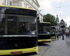 Киевлянам пообещали транспорт будущего, но при одном условии