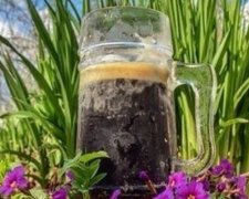 Любимые летние продукты могут повредить здоровью