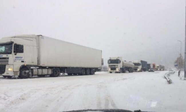 Ослушались: столичные водители создали апокалипсис

