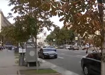 Поки в Києві тріщать труби, комунальники поливають туї Кличка під дощем
