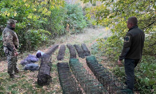 незаконний вилов риби
