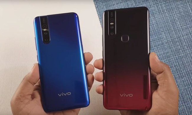 Vivo