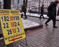 Курс гривні: експерт спробував заспокоїти українців