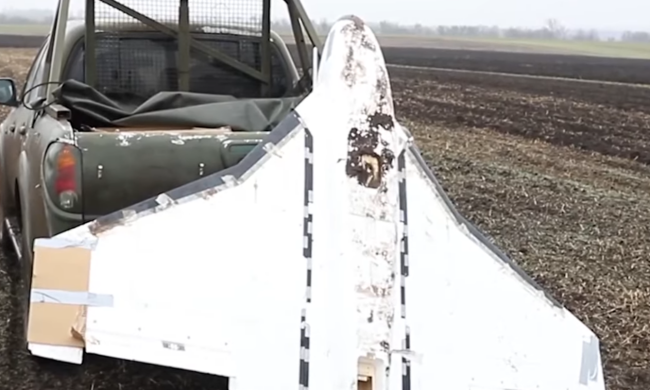 БПЛА "Гербера". Фото: скрін youtube