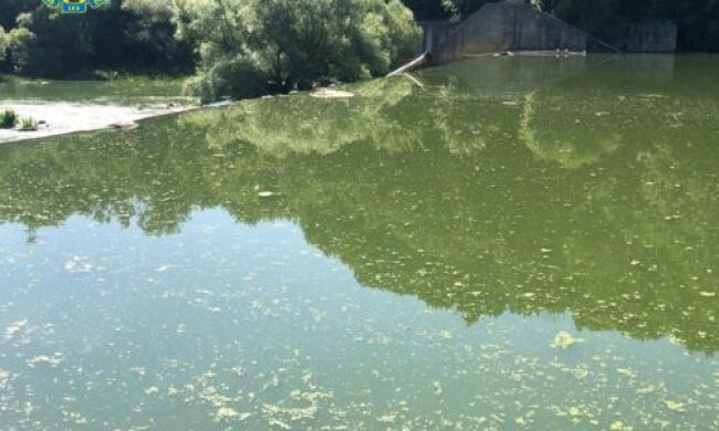 збитки на Житомирщині