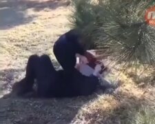 Скриншот с видео
