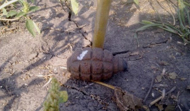 На Сумщині в полі знайшли дві гранати