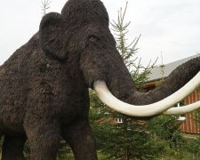 В Росії зібрались клонувати мамонтів