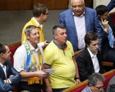 Депутаты устроили фан-клуб прямо в Раде