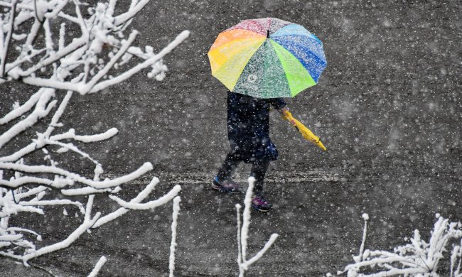 Погода на 9 марта: украинцы попадут в весеннюю сказку