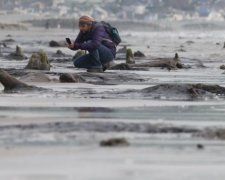 Доисторическая цивилизация обнаружилась после урагана: ждала под водой 4,5 тысячи лет