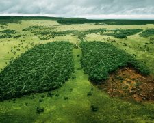 15 квітня: яке сьогодні свято - історія і традиції