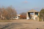 Чорнобаївка, кадр з відео