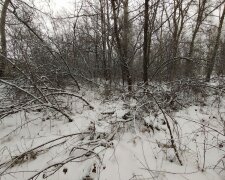 Зима, мороз - фото Знай.ua