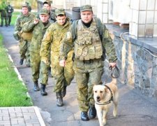 У Маріуполі влаштували облаву на поплічників бойовиків
