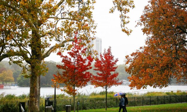 Погода на 2 листопада: синоптики пообіцяли сонячний день, але тепло прийде не до всіх