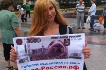 Барнаул голосует за кота Барсика